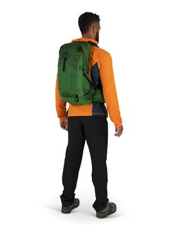 Туристическа раница OSPREY TALON 22,  green belt/black