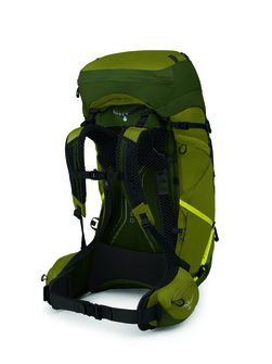 Туристическа раница OSPREY ATMOS AG LT 65,  scenic valley/green peppercorn